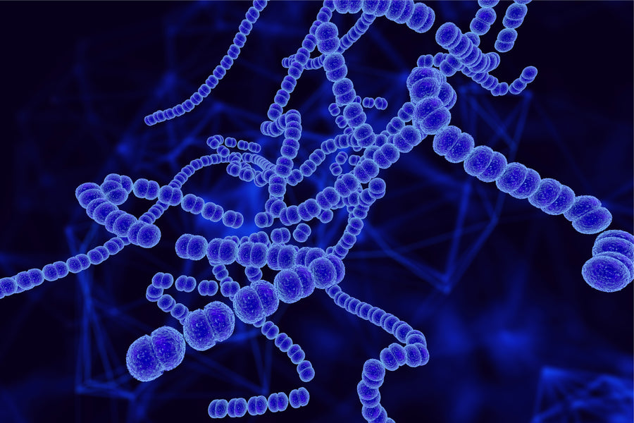 Coenzyme Q10 (CoQ10)